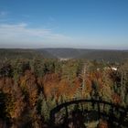 Der Schwarzwald im Herbst