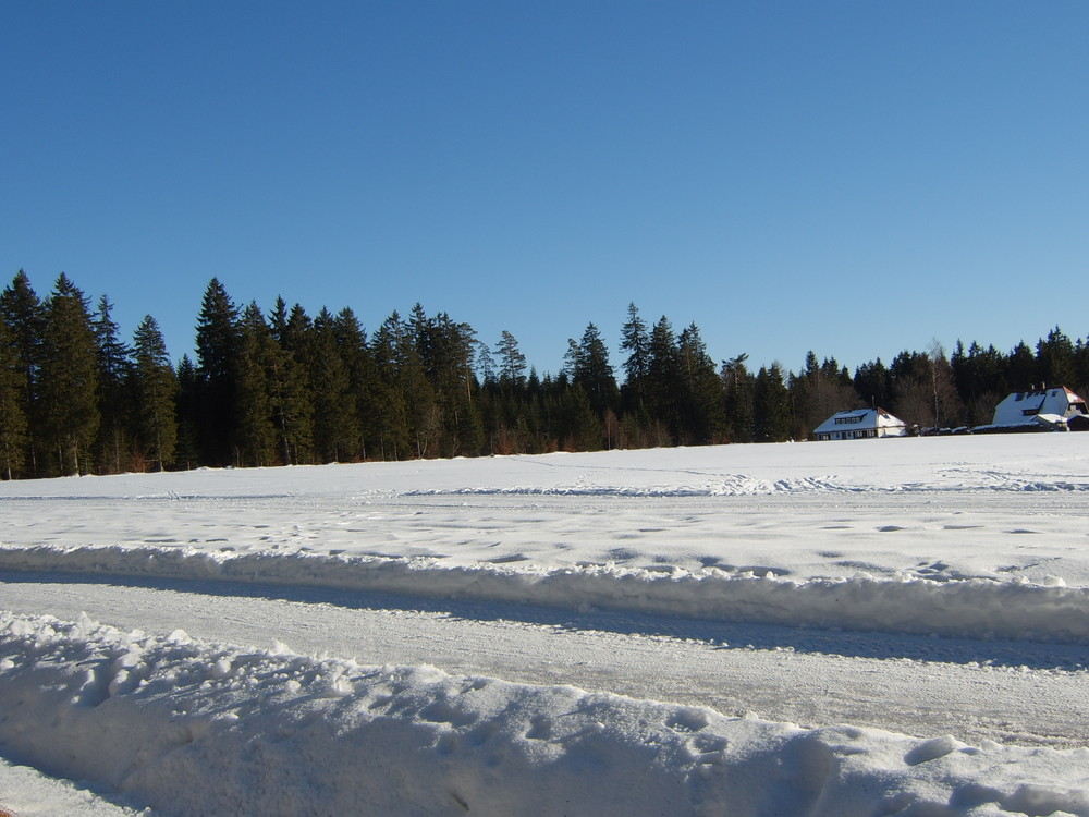 Der Schwarzwald im Januar