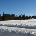 Der Schwarzwald im Januar