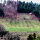 Der Schwarzwald im Winter