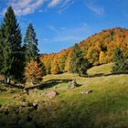 der schwarzwald ist nicht nur schwarz,