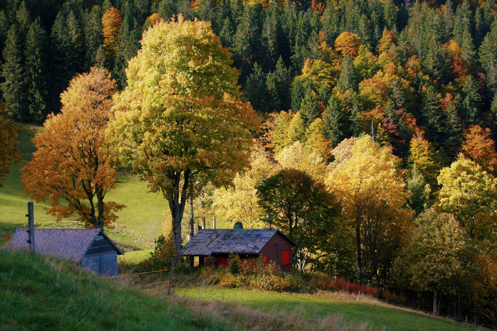 der schwarzwald kann nicht nur schwarz