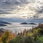 Der Schwarzwald liegt am Meer