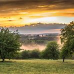 der schwarzwald nach dem regen