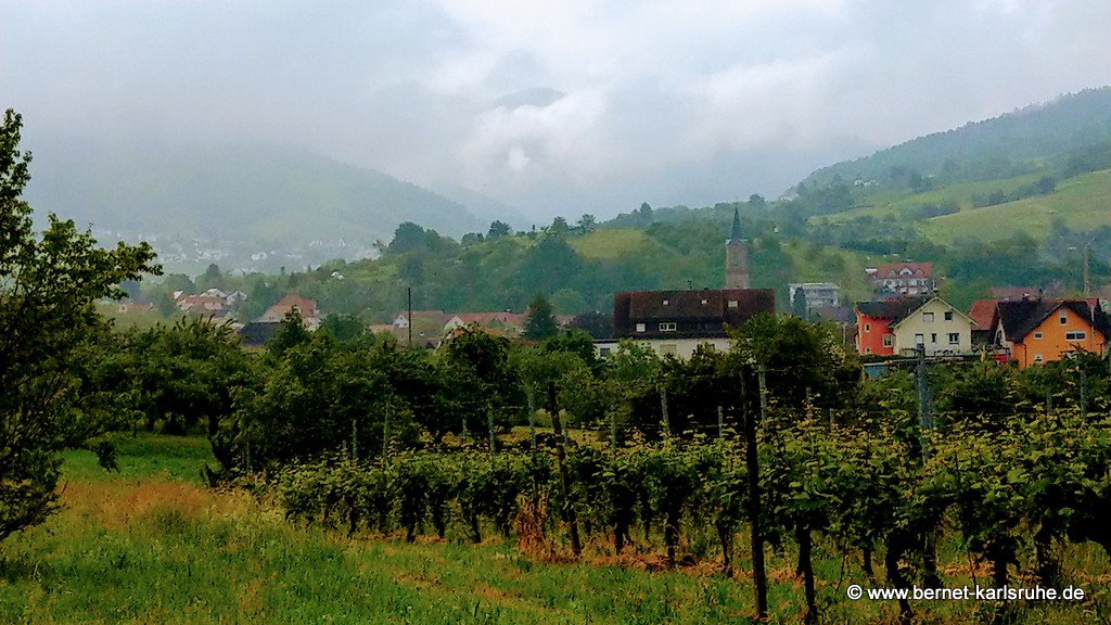 Der Schwarzwald - nach dem Regen