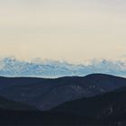 Der Schwarzwald und die Alpen