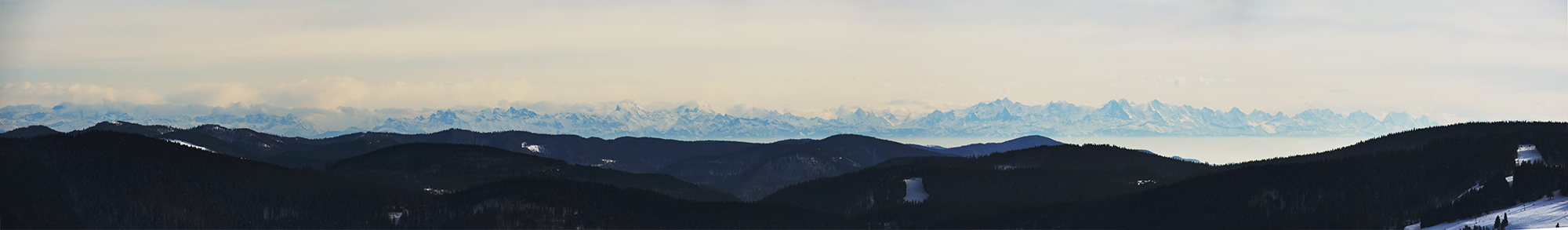 Der Schwarzwald und die Alpen