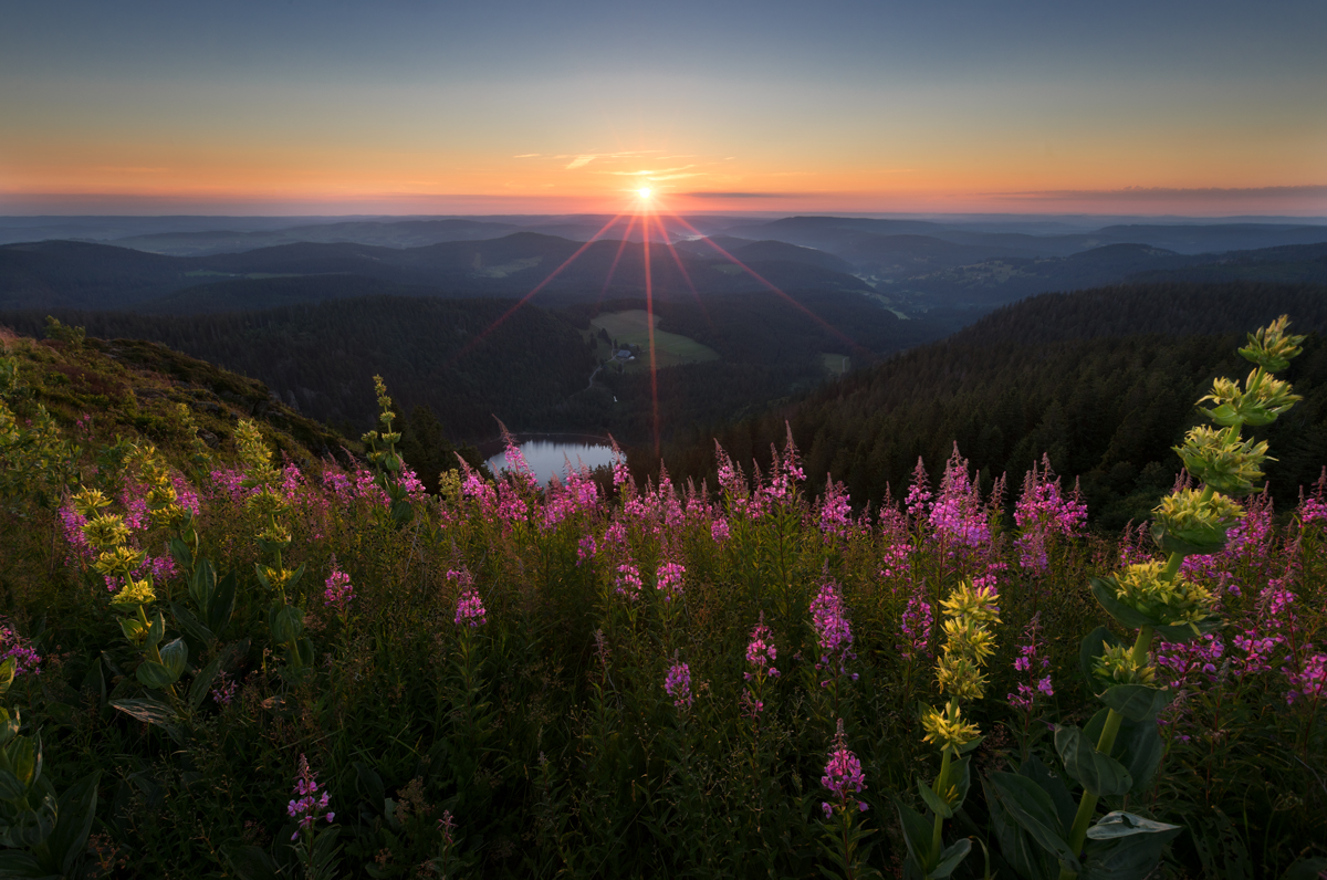 Der Schwarzwald wacht auf