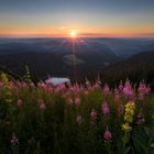 Der Schwarzwald wacht auf