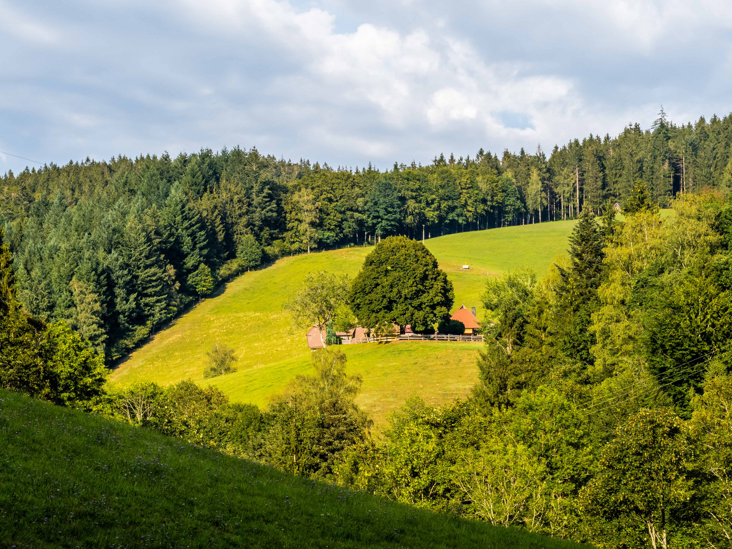 Der Schwarzwaldhof