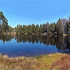 der schwarzwaldsee