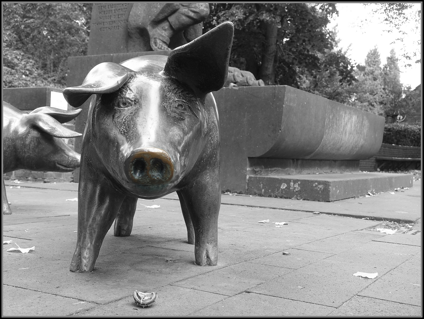 Der Schweinebrunnen Zons