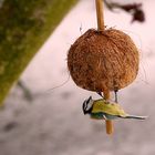 der schwerkraft zum trotz