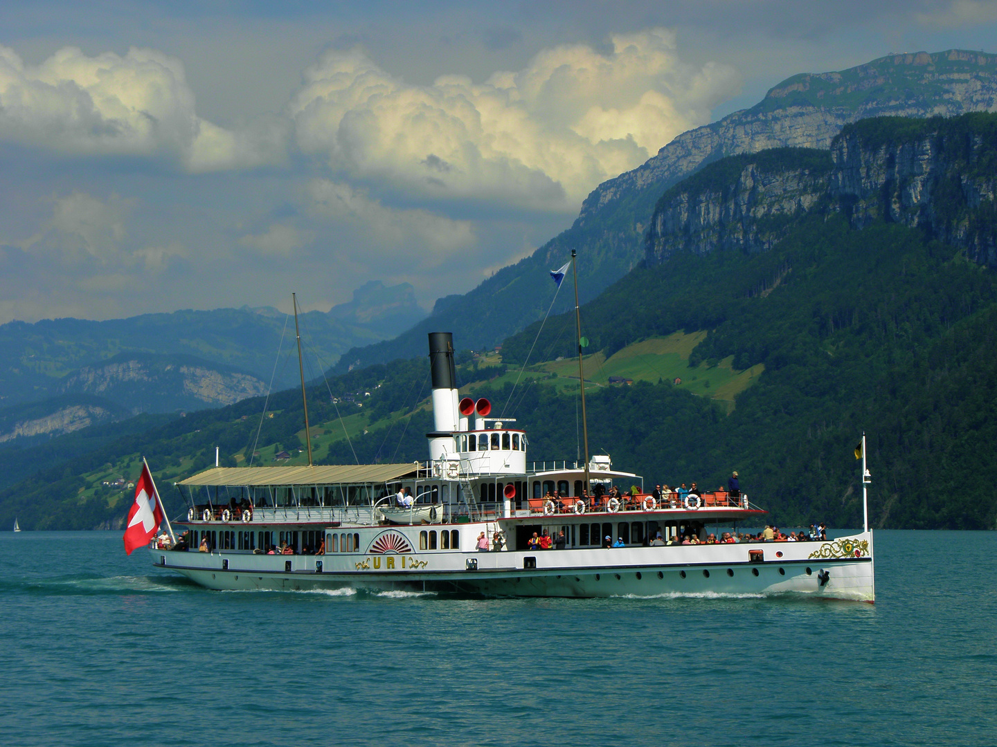 Der schwimmende Stier