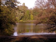 Der Schwimmer im Herbst