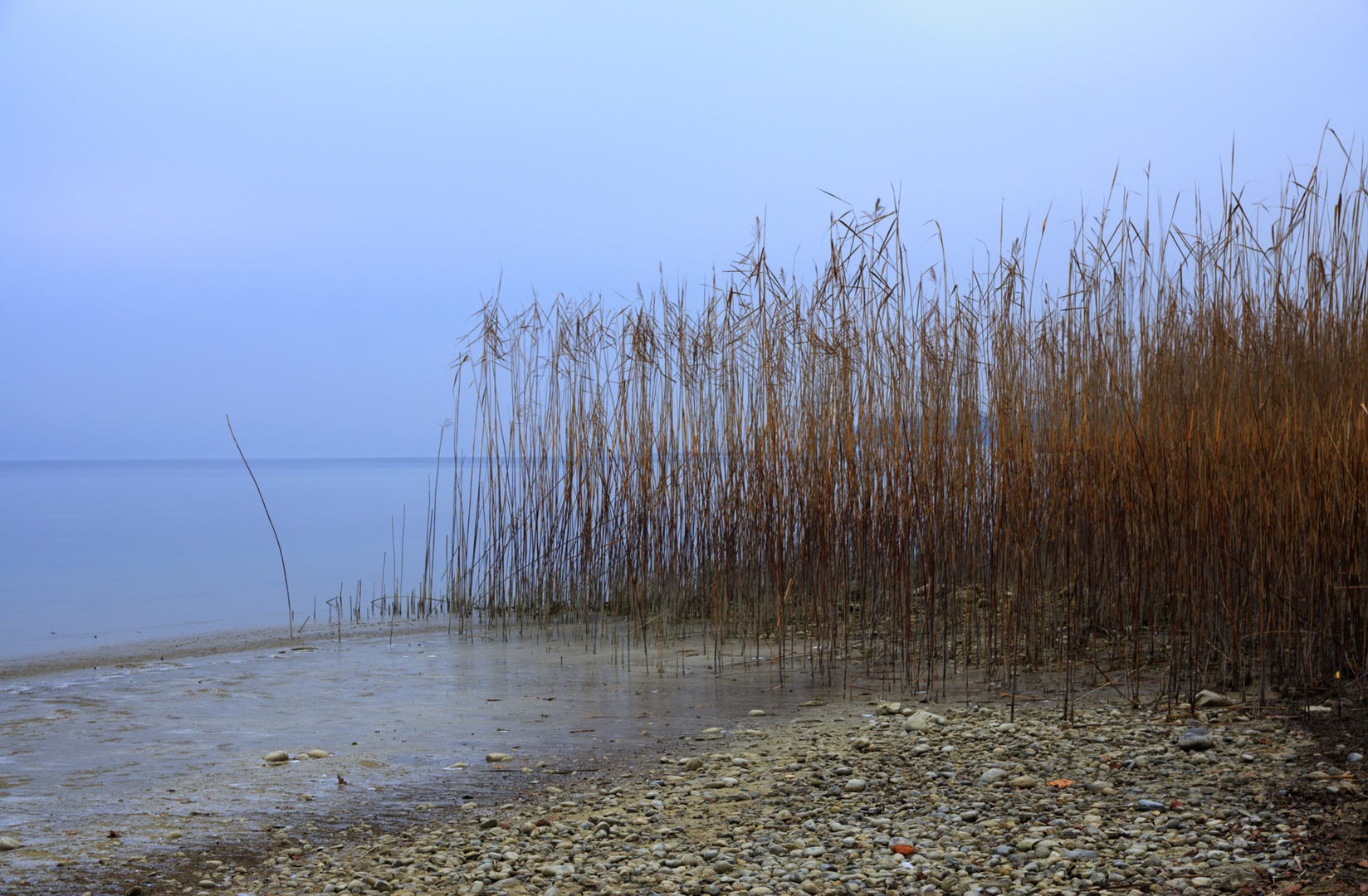 Der See 01.01.17