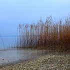 Der See 01.01.17