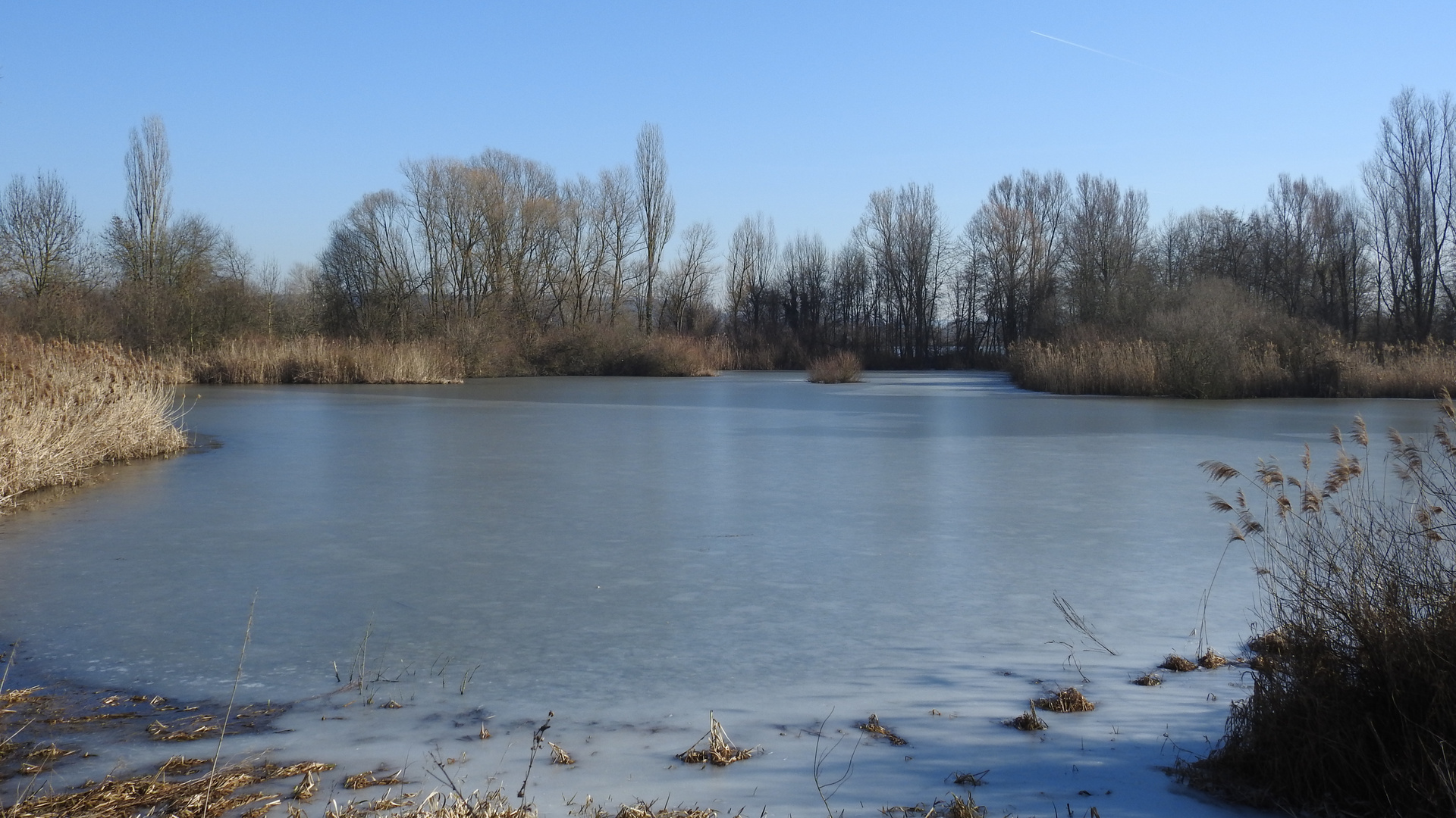 der See Foto & Bild jahreszeiten, winter, fränkische seen Bilder auf