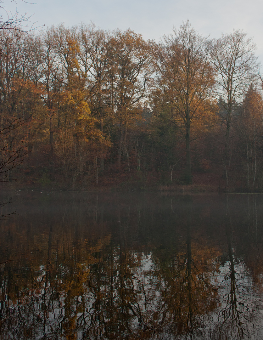 Der See