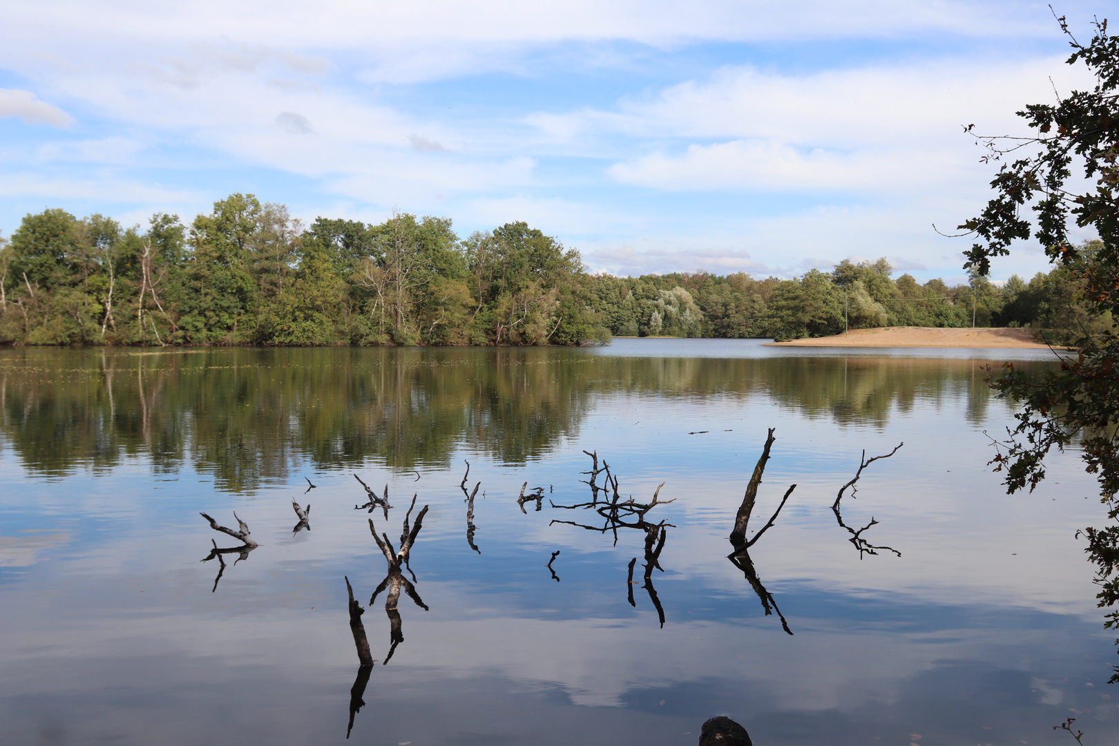 Der See