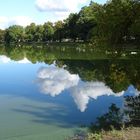 Der See als Naturspiegel