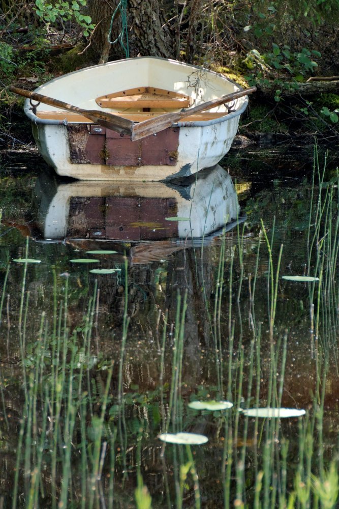 Der See am Häuschen 2