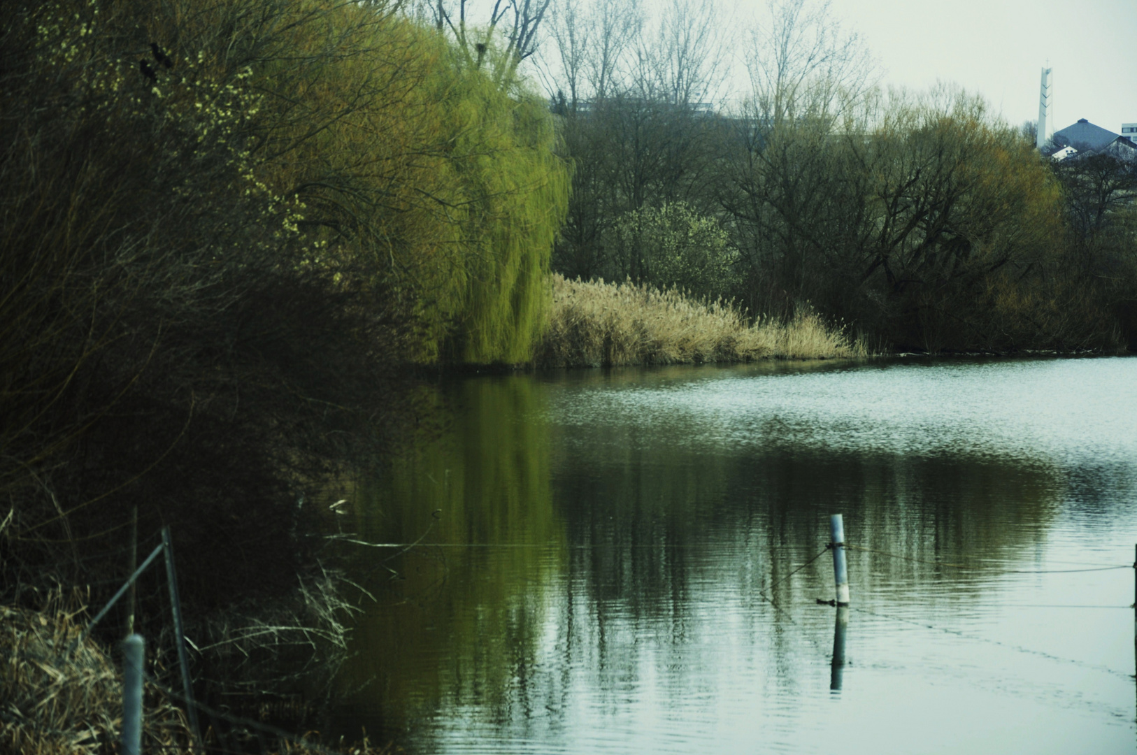 der See am Morgen