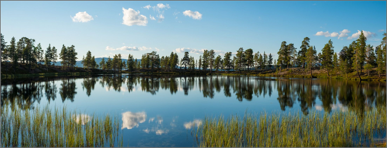 "Der See am See"