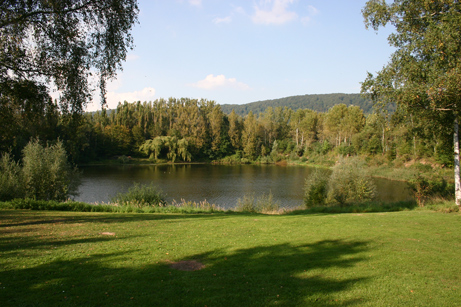 Der See am Wald