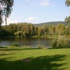 Der See am Wald