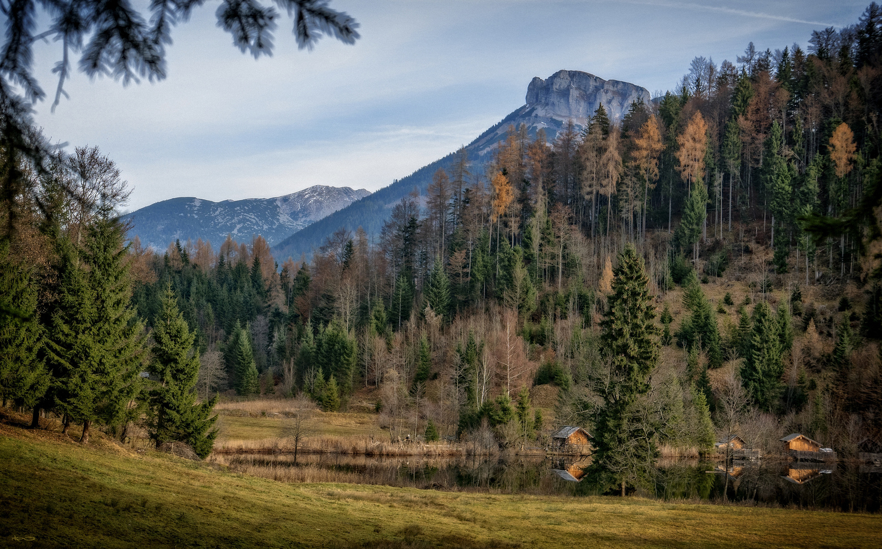 der See am Waldrand