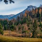 der See am Waldrand