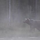 Der See atmet kühlen Nebel aus