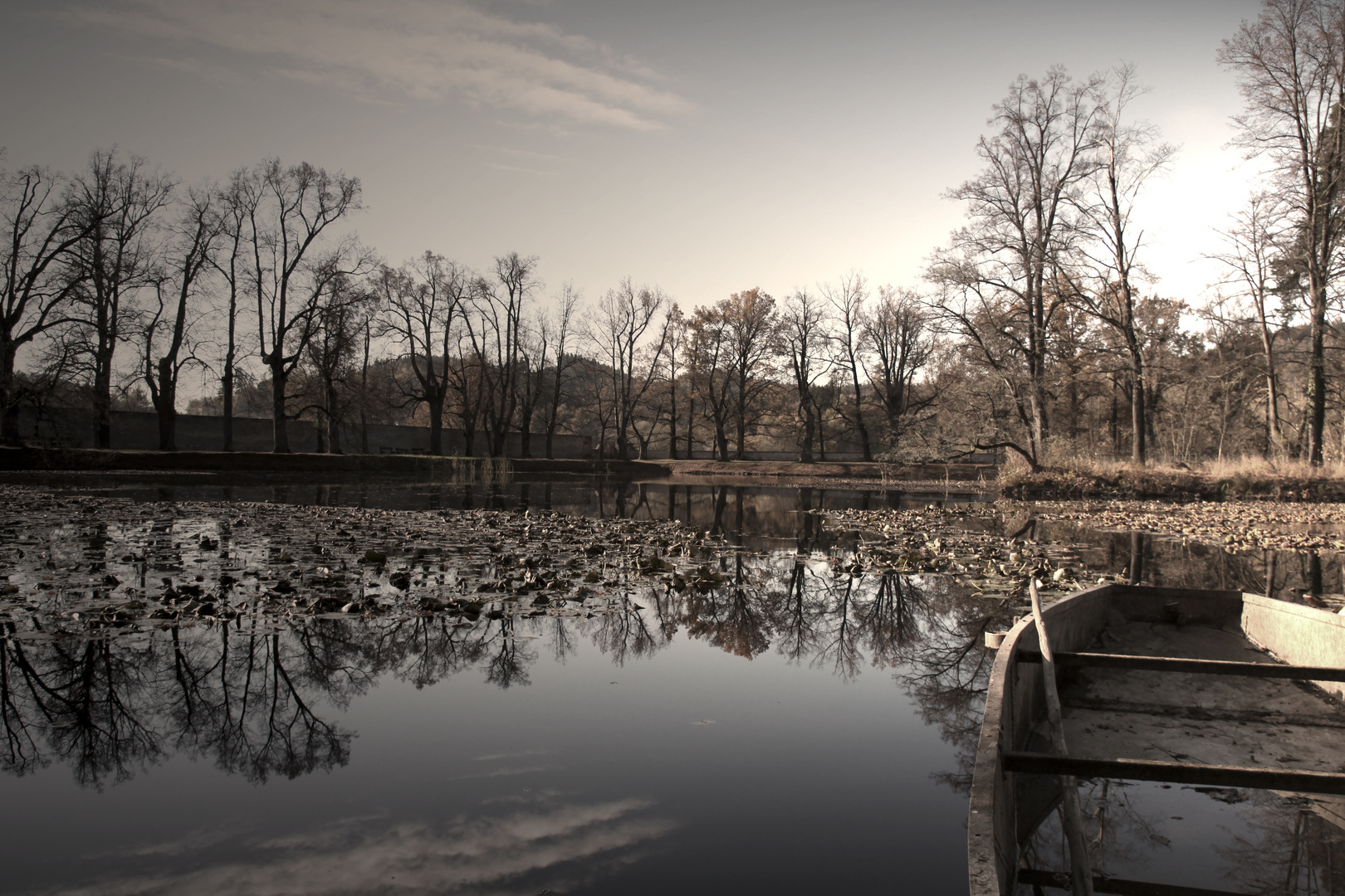 Der See