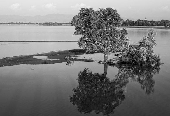 Der See, der Baum, das Rad