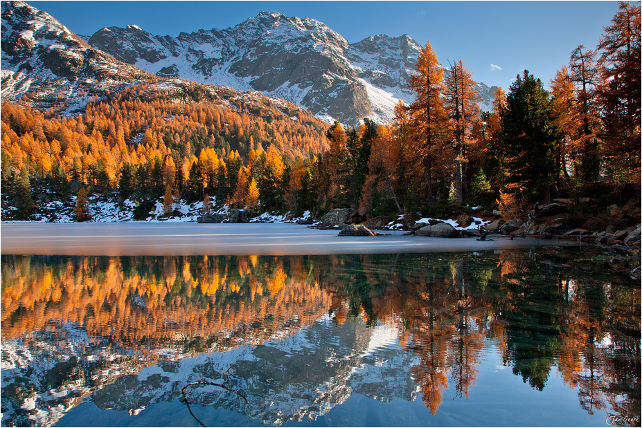 Der See der goldenen Bäume