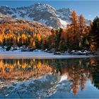 Der See der goldenen Bäume