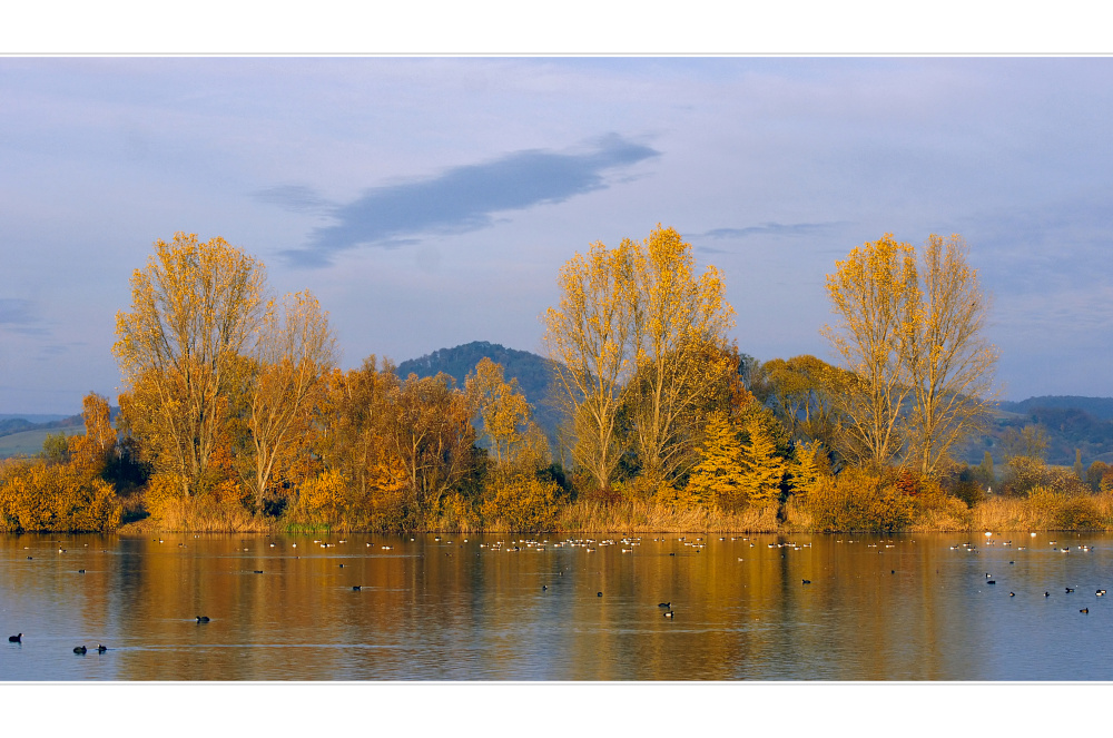 Der See der Kanadagänse