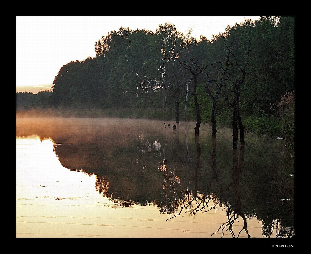 Der See der toten Bäume.