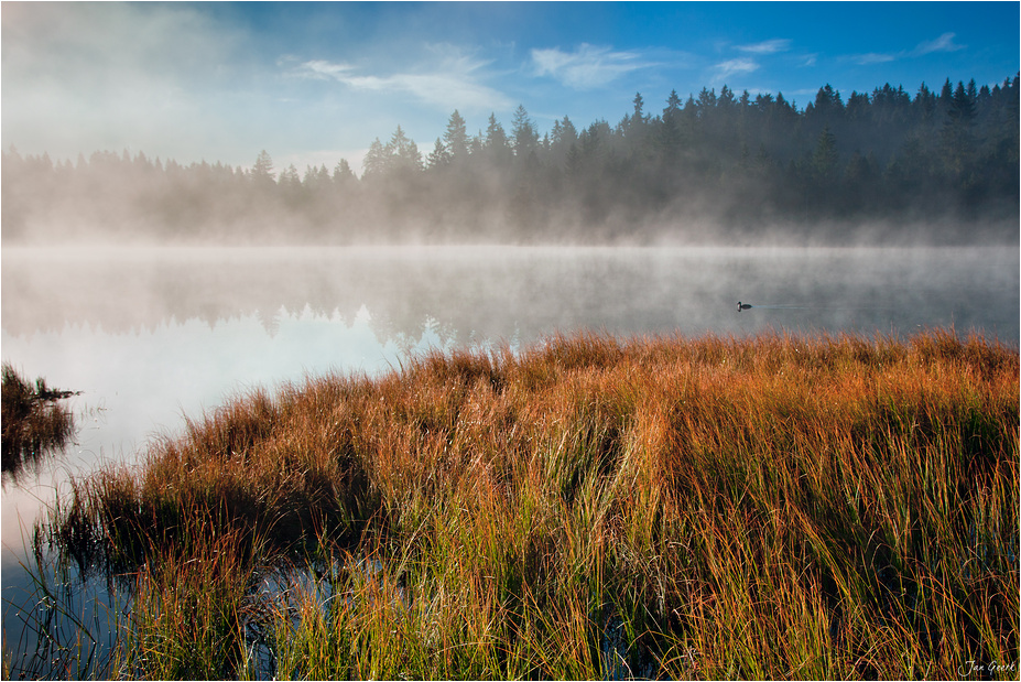 Der See, die Ente und der Nebel