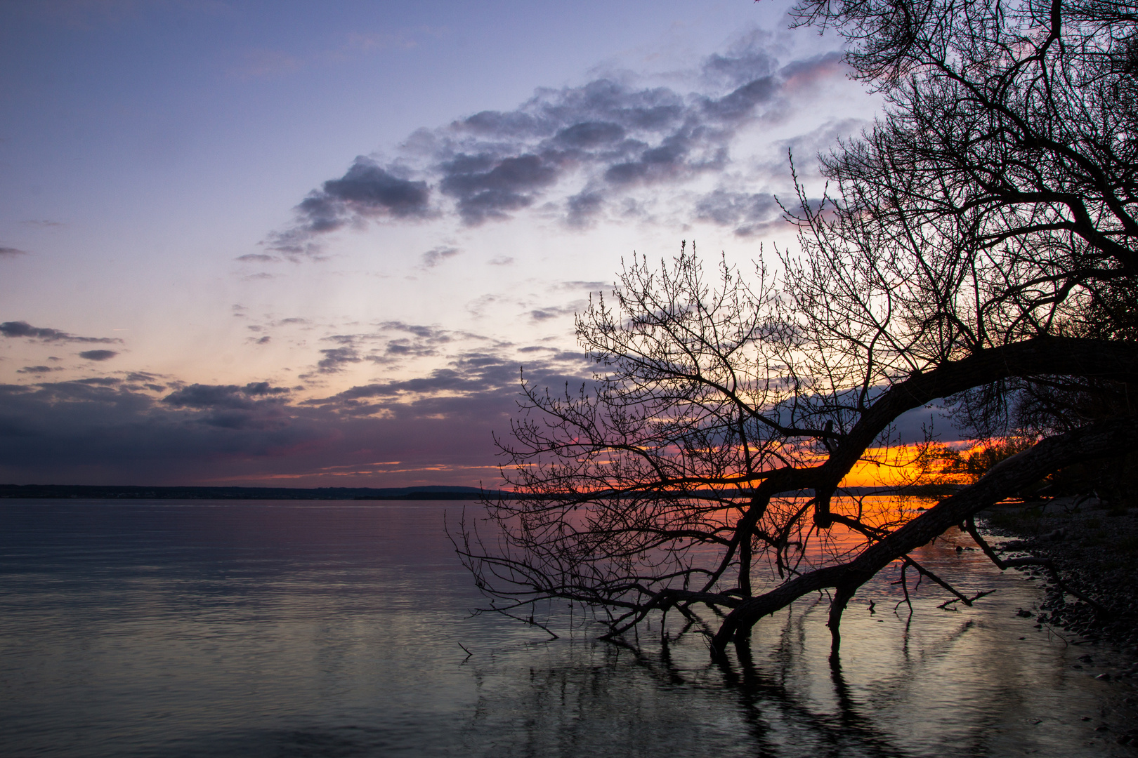 der See