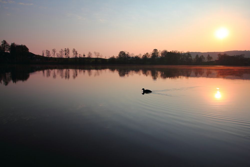 der See erwacht