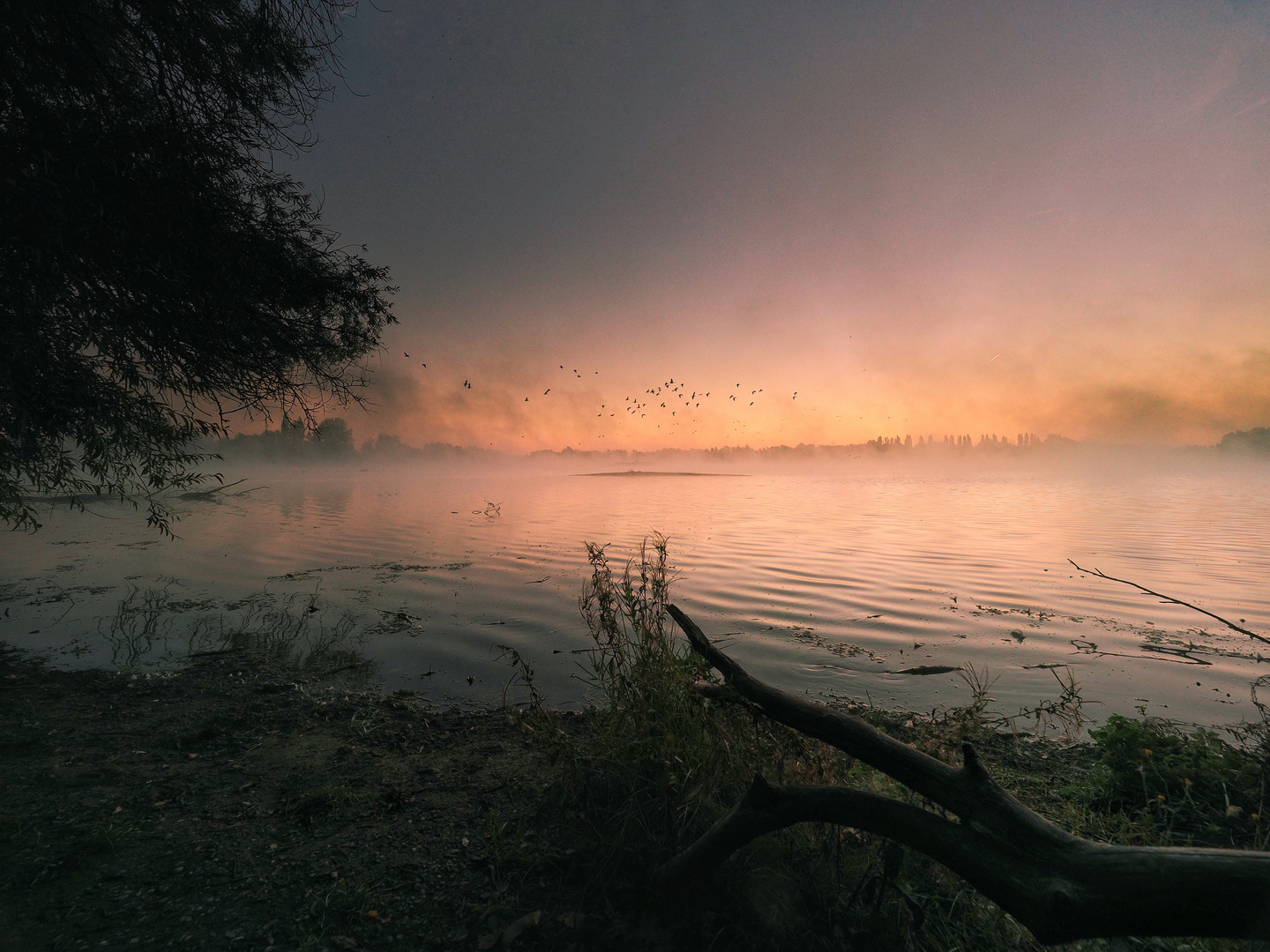 Der See erwacht