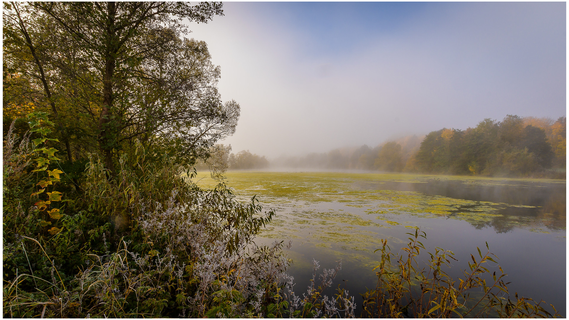 Der See erwacht