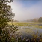 Der See erwacht