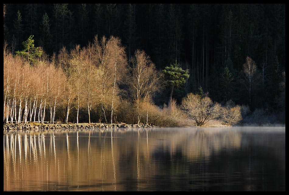 Der See erwacht