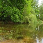 der See führt wieder mehr Wasser .. 