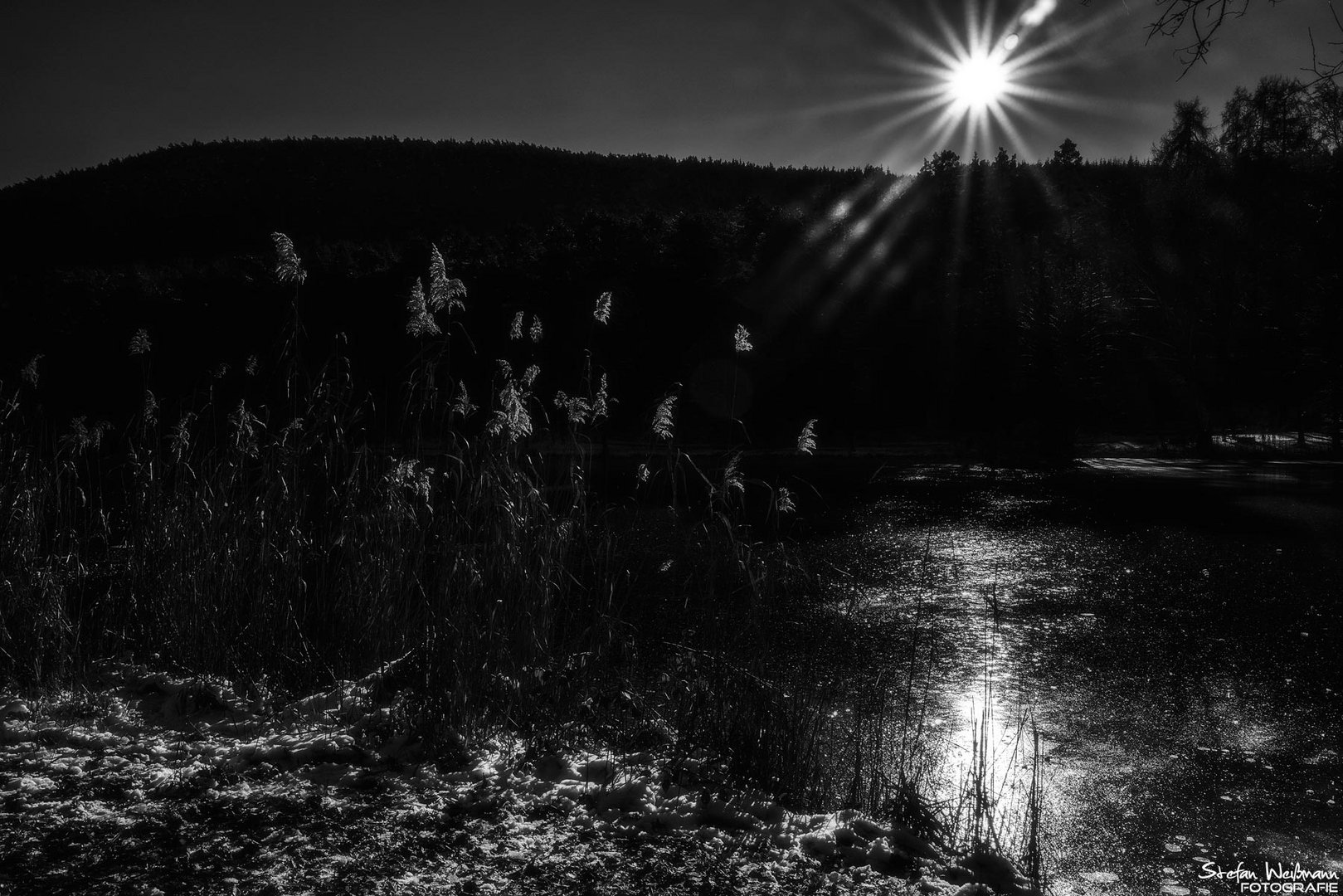 Der See gefriert - Winterruhe für Alle