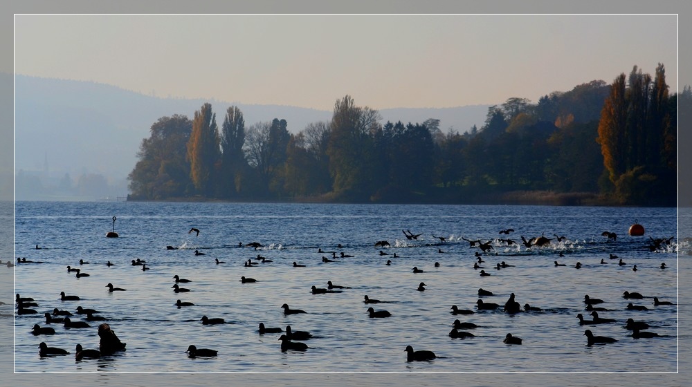 Der See gehört jetzt uns .....