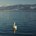 Der See gehört (noch) mir!